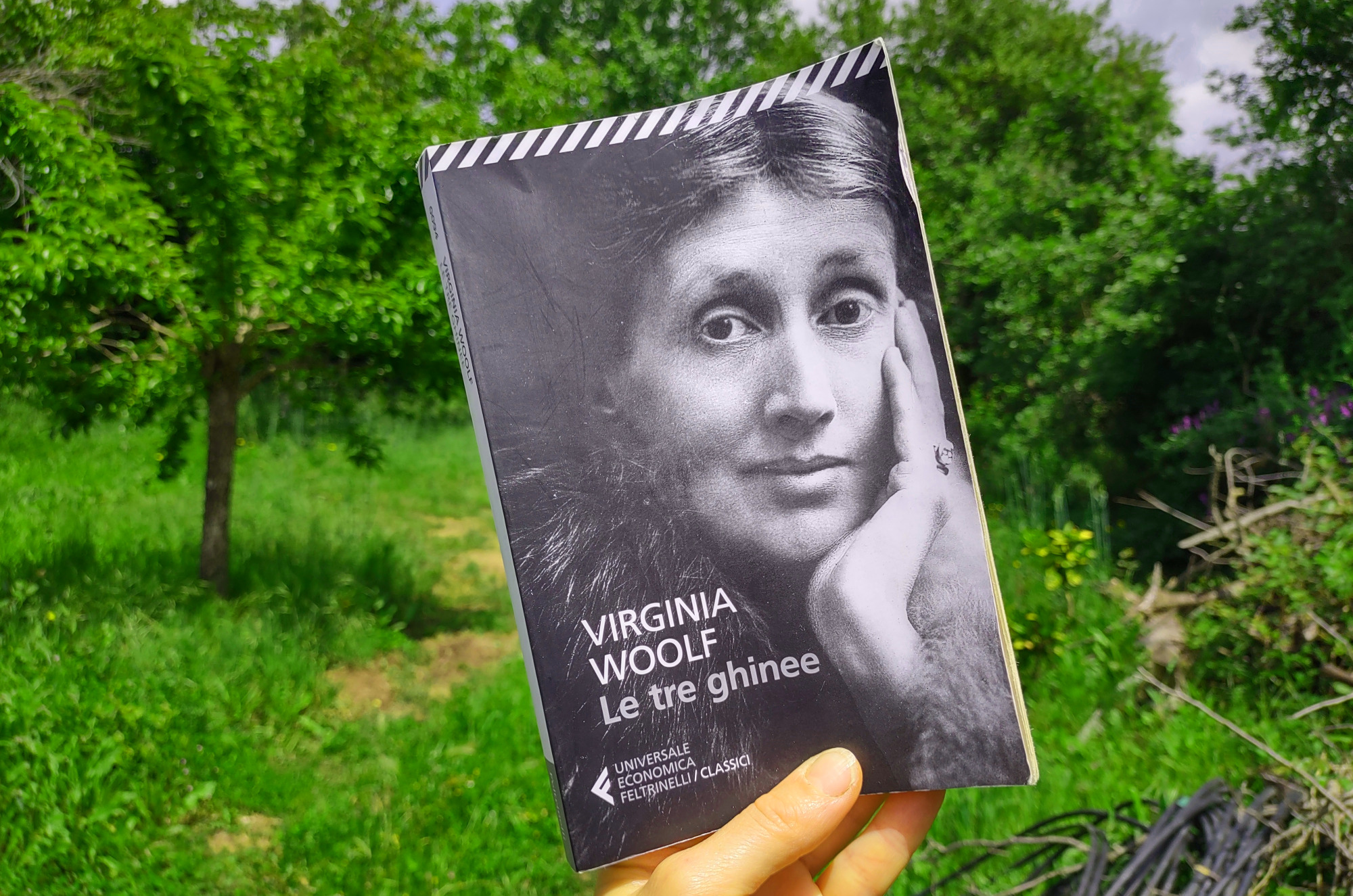 Le tre ghinee: il”pamphlet” ancora attuale  di Virginia Woolf per evitare la guerra